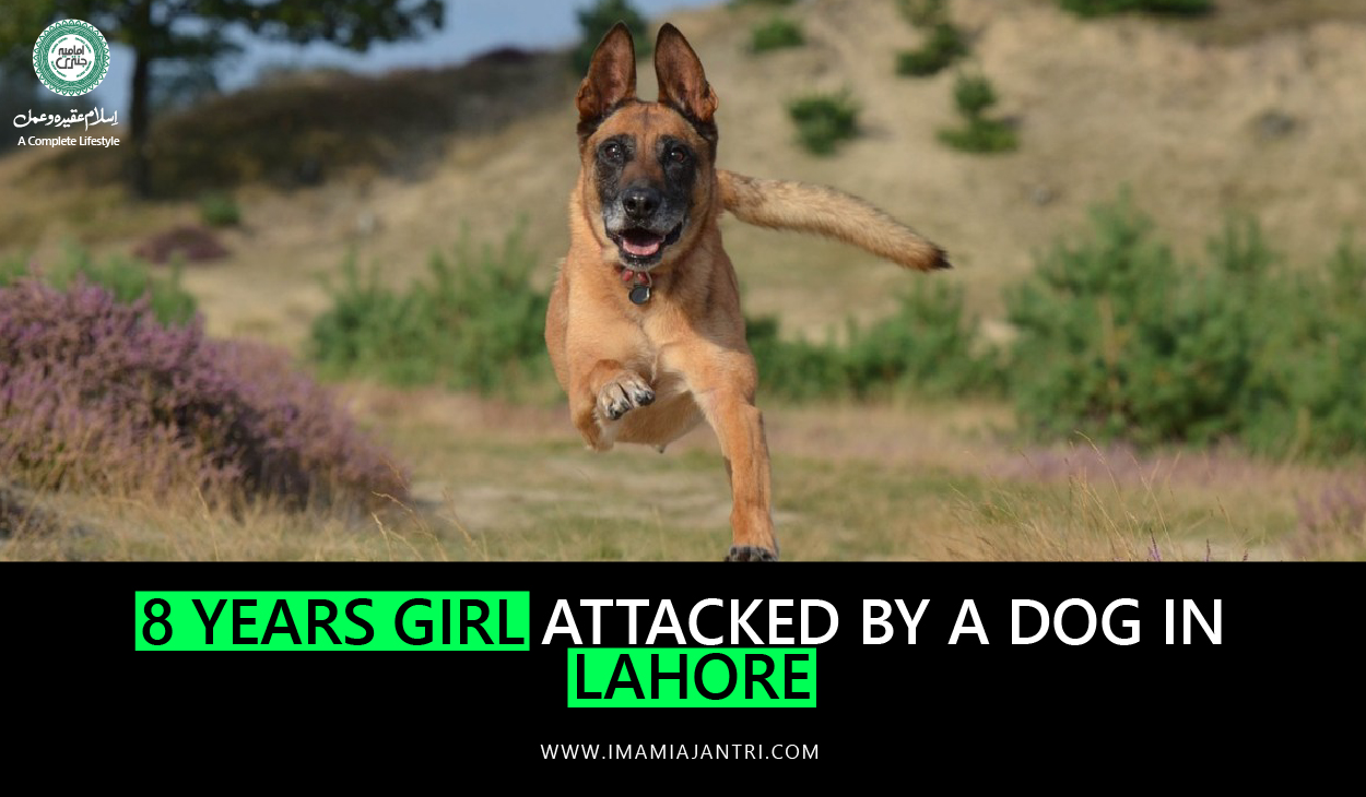 attack of dog