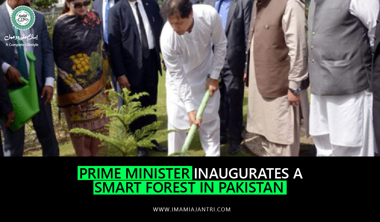 smart forest in Pakistan