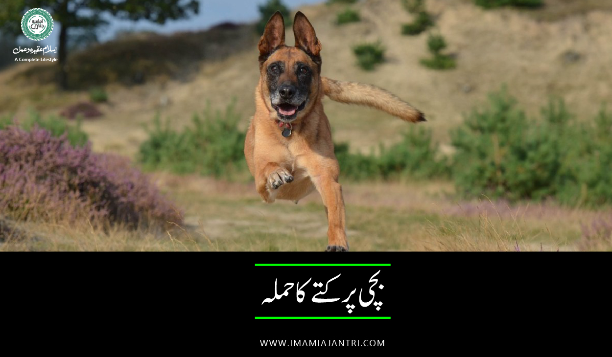 کتے کا حملہ