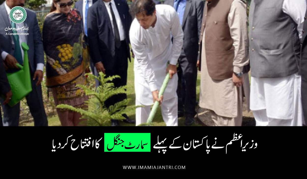 پاکستان کے پہلے سمارٹ جنگل کا افتتاح