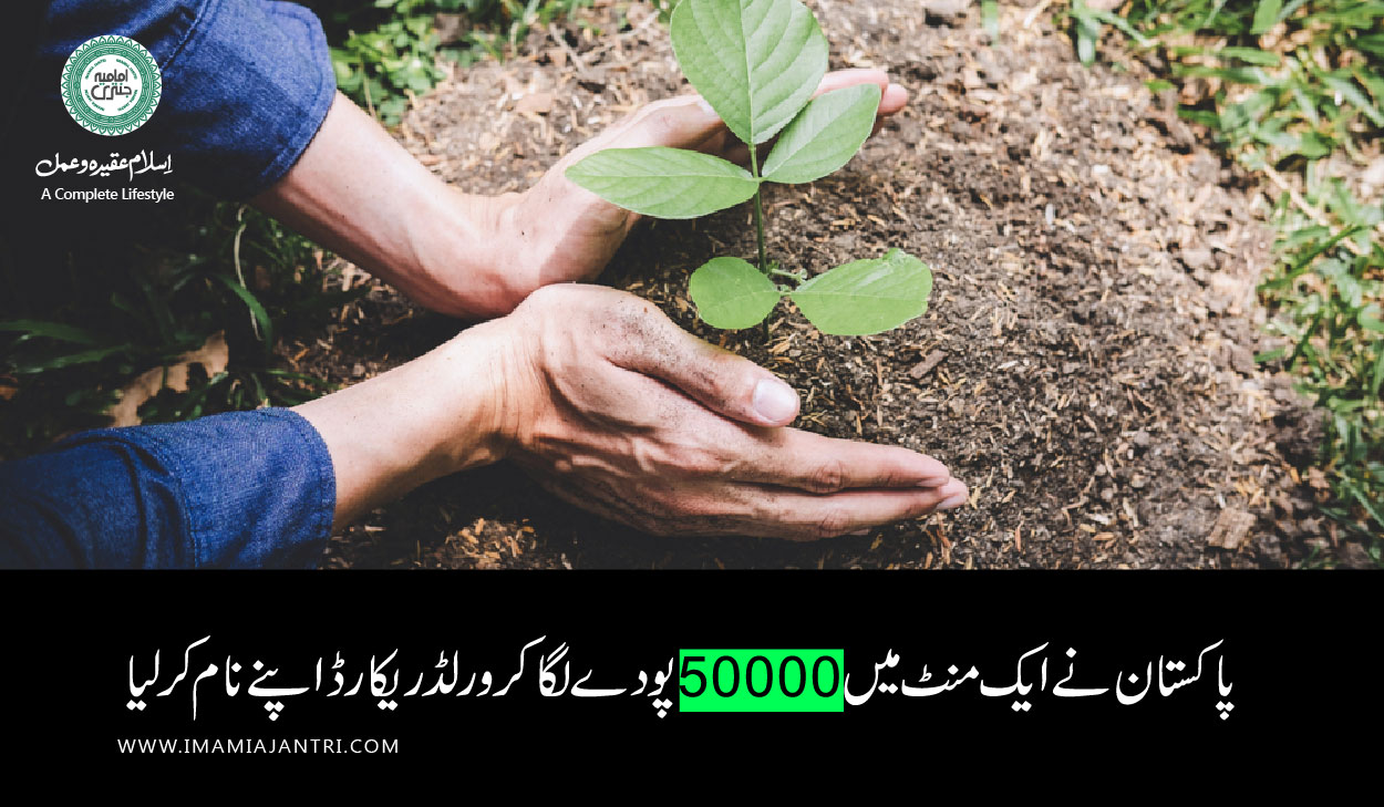 پودے لگانے کا عالمی ریکارڈ
