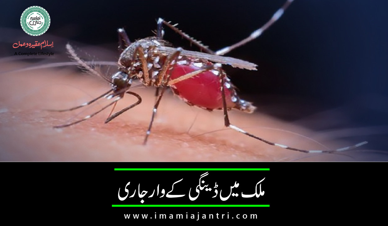 ڈینگی کے وار