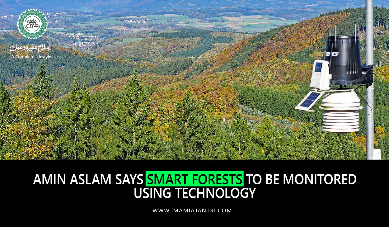 forests will be monitored through technology.